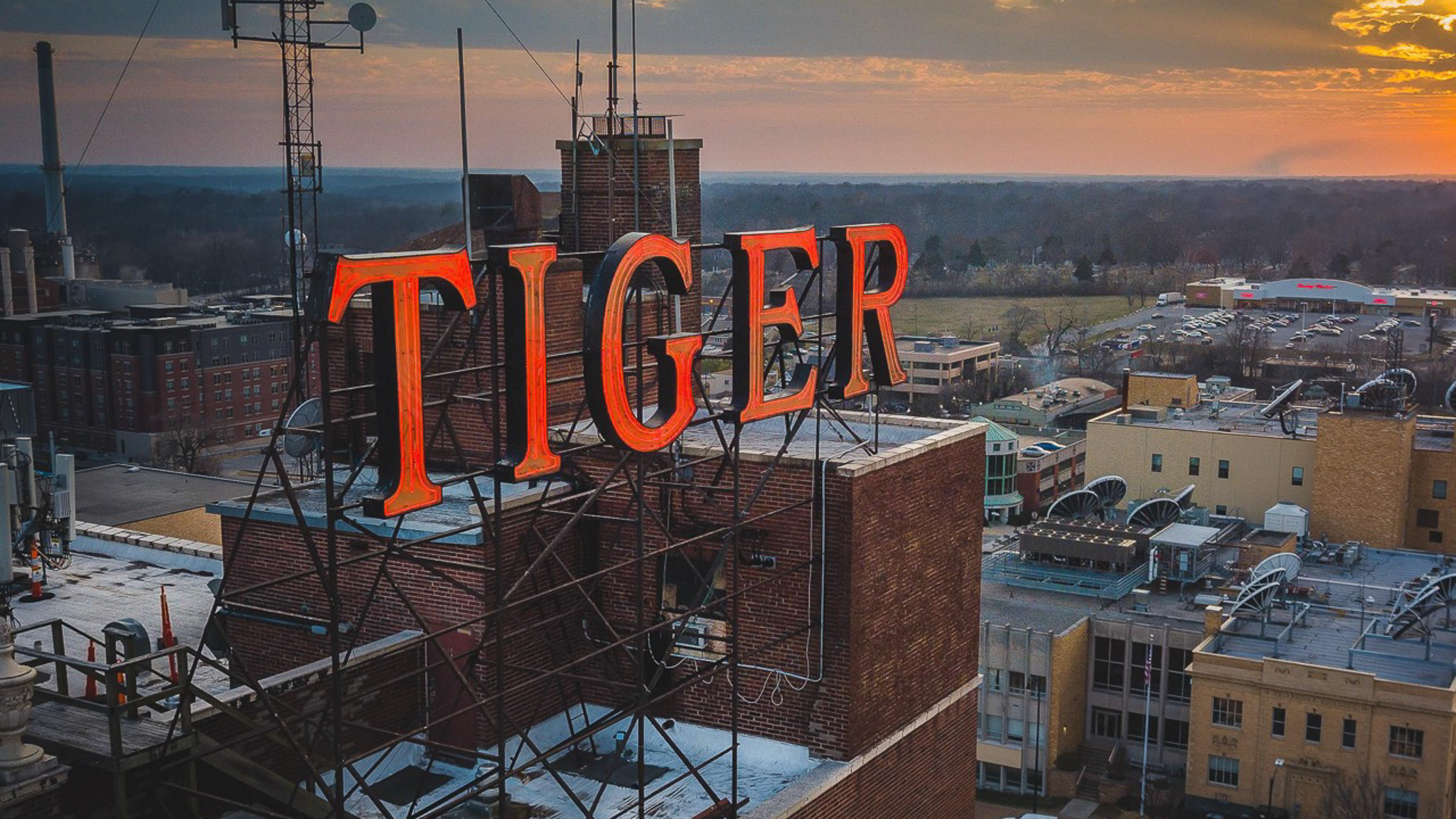The tiger hotel