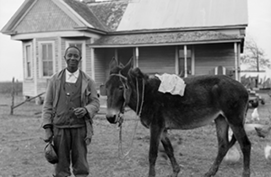 Lowndes County farmer Sylvester Harris with mule Jesse outside his home in Plum Grove community, February 1934. 