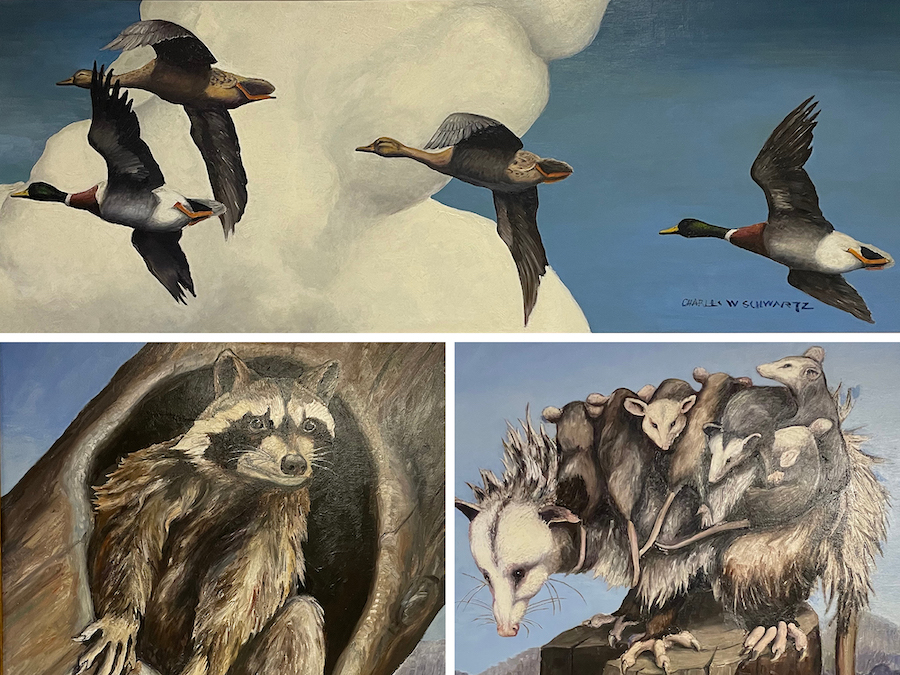 Image of Art: Wildlife series  Artist: Charles Schwartz, BA ’38