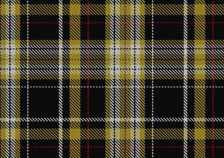 Mizzou Plaid
